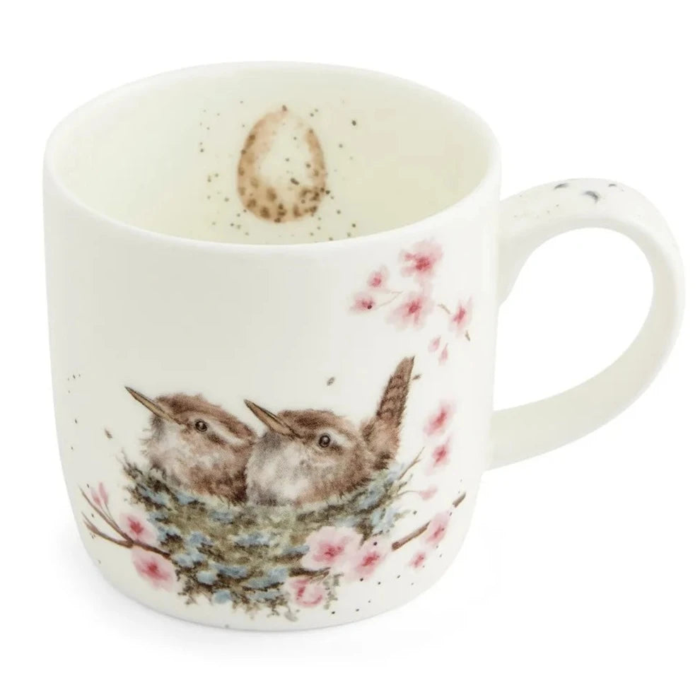 Royal Worcester Wrendale Designs Feather Your Nest Mug
