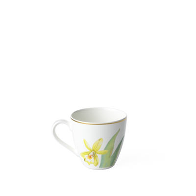 Villeroy and Boch Tableware Amazonia Espresso Cup - New 60ml