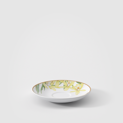 Villeroy and Boch Tableware Amazonia Espresso Saucer - New 120mm