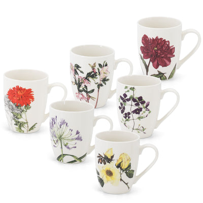 Tipperary Crystal - Botanic Studio Set of 6 Mugs