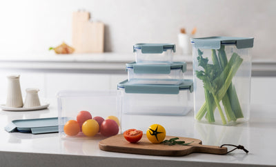 LocknLock Classic Plus Mint 4 Litre Container HPL452H