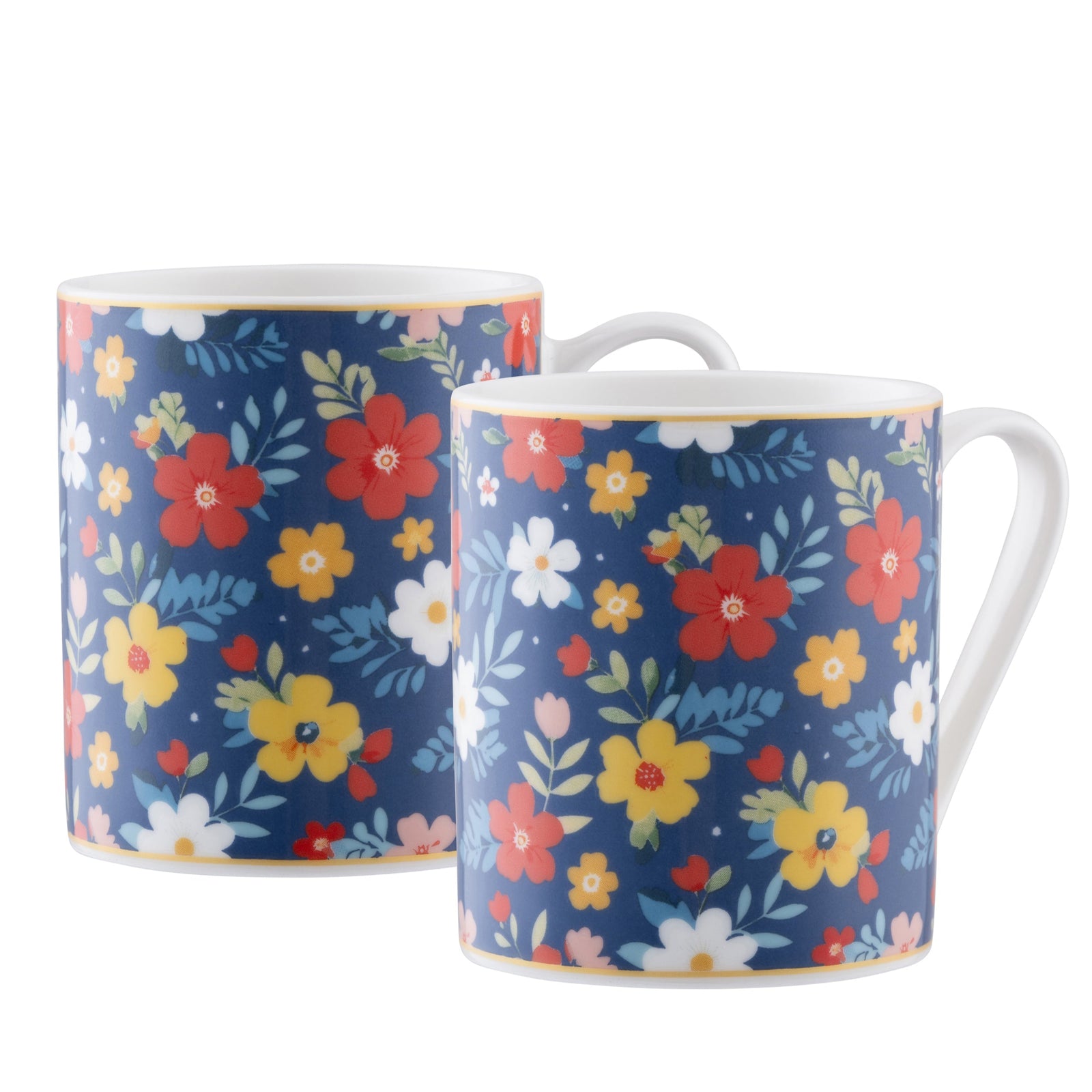 Aynsley Midnight Garden Mugs Pair