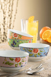 Aynsley Cottage Garden Set of 4 Mixed Cereal Bowls