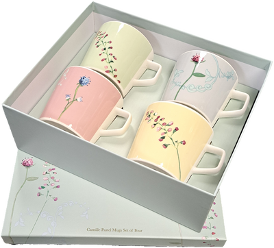 Aynsley Camille Pastel Mugs Set of 4