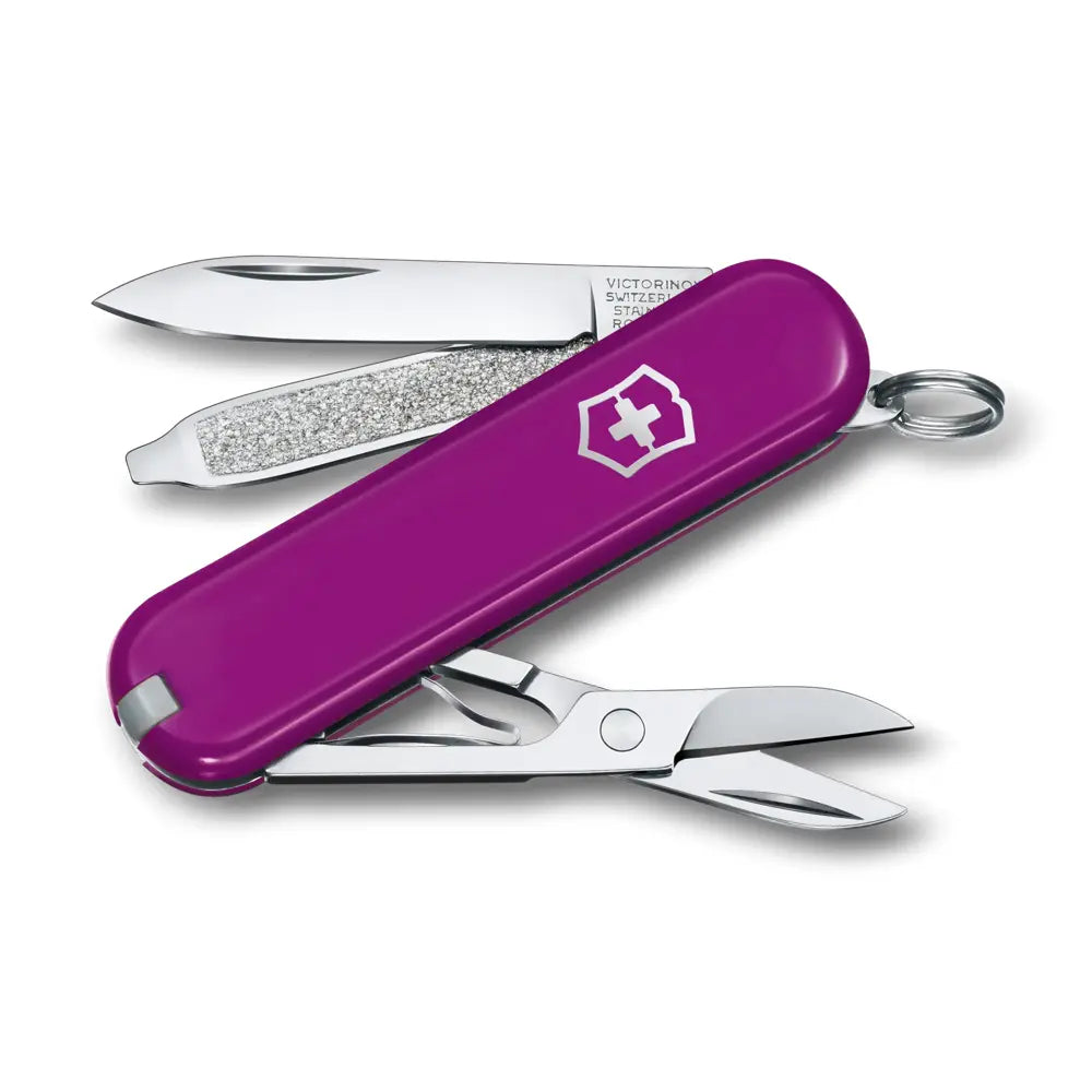 Victorinox Classic Colours SD Pocket Knife - Tasty Grape