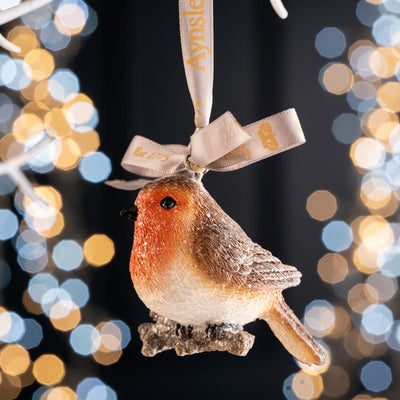 Aynsley Christmas Glitter Robin Hanging Ornament