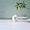 Villeroy and Boch Letters Mug Y