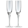 Denby China Champagne Flute Pack of 2 - Last Chance to Buy