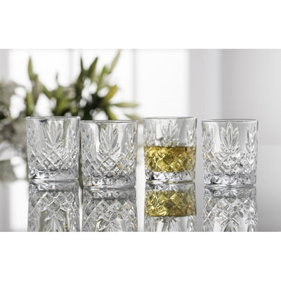 Galway Crystal Renmore DOF Tumbler set of 4