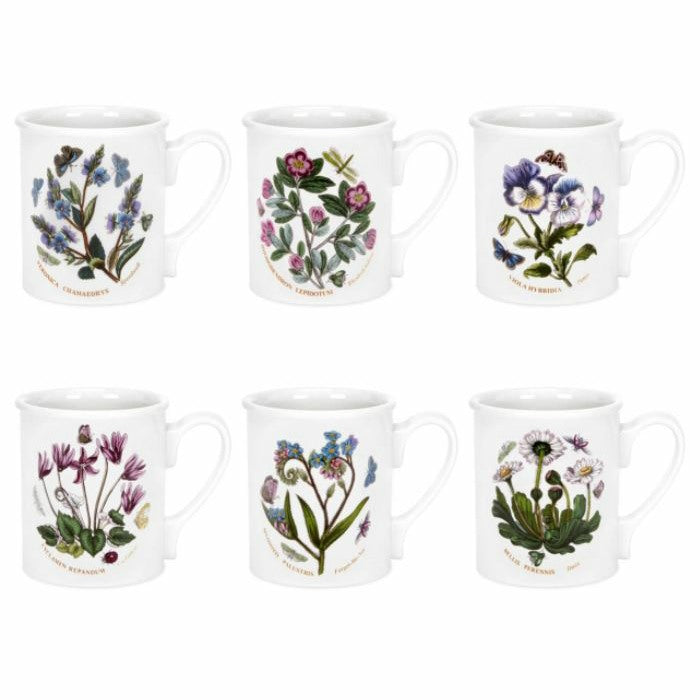 Portmeirion Botanic Garden Breakfast Mugs Assorted Set of 6