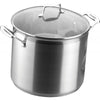 Scanpan Impact Stockpot 24cm with Lid