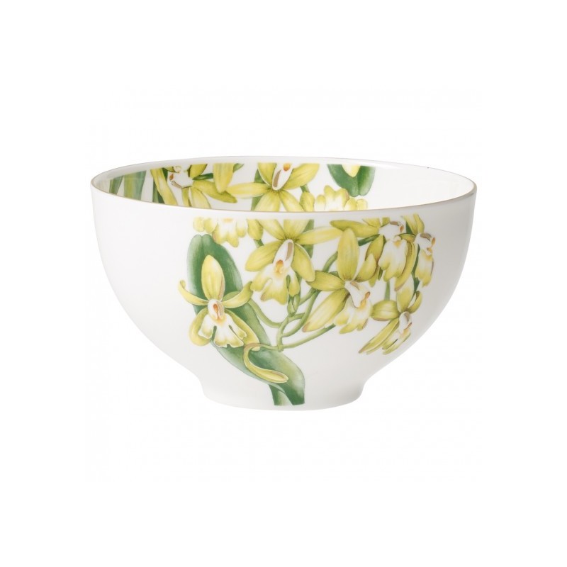 Villeroy and Boch Tableware Amazonia Bowl