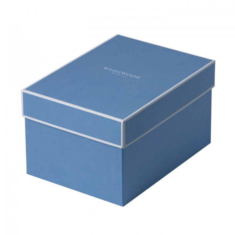 Wedgwood Florentine Turquoise Teacup and Saucer - Set of 2